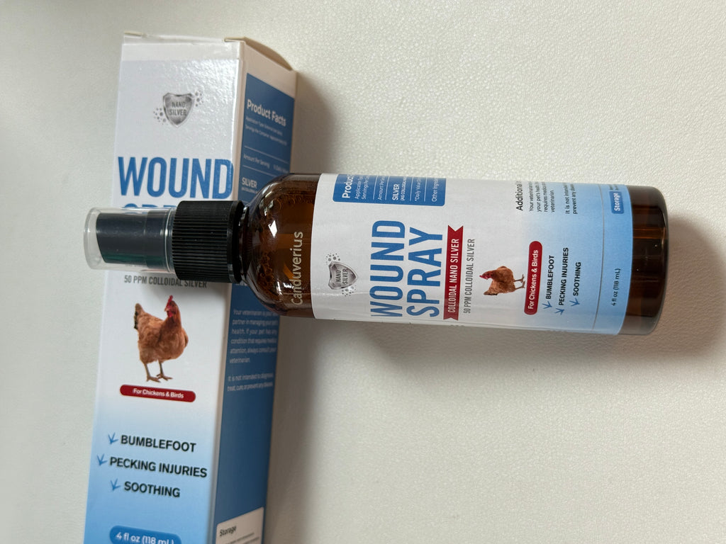 Canduverius Anti-inflammatory salves，Wound Spray for Chicken from Birds & Chicken Antibiotics Alternative to Help with Pecking Sores, Bumblefoot, Cuts – Poultry Spray with Silver – GMOs Free